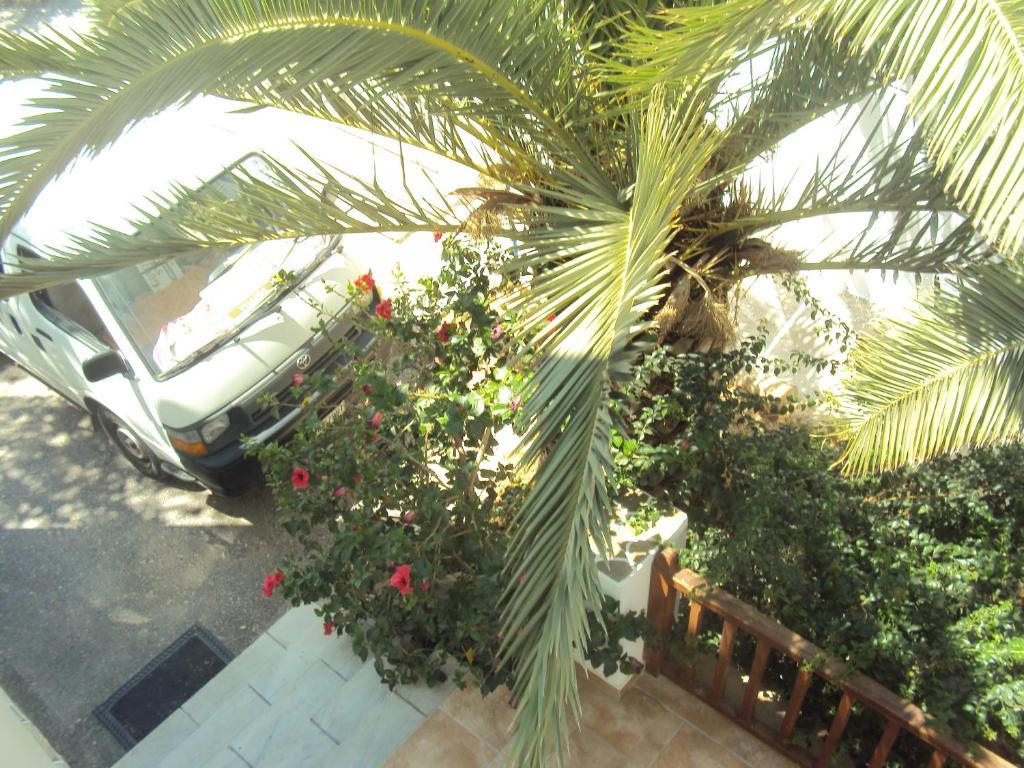 Golden Star Chora Exterior foto